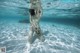 A woman in a white bodysuit is underwater holding a starfish.